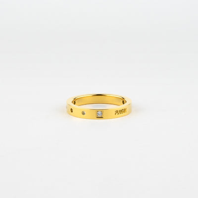 PUNCHING PLUS ステンレス パンチングプラス リング PIR7982