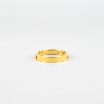 PUNCHING PLUS ステンレス パンチングプラス リング PIR7982