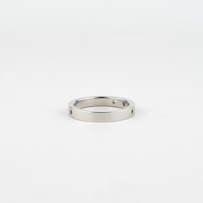 PUNCHING PLUS ステンレス パンチングプラス リング PIR7982