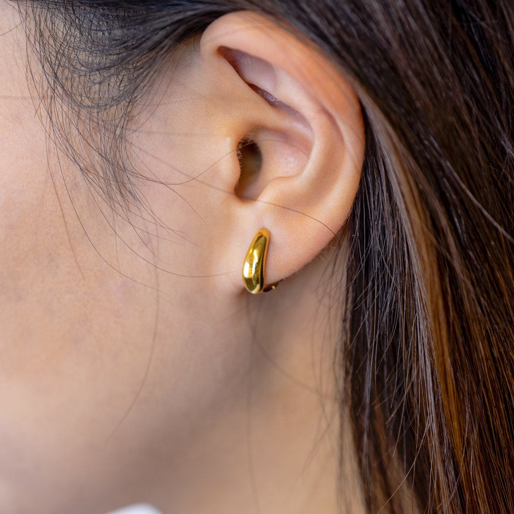 [送料無料] putisia ドロップ イヤリング PUER001