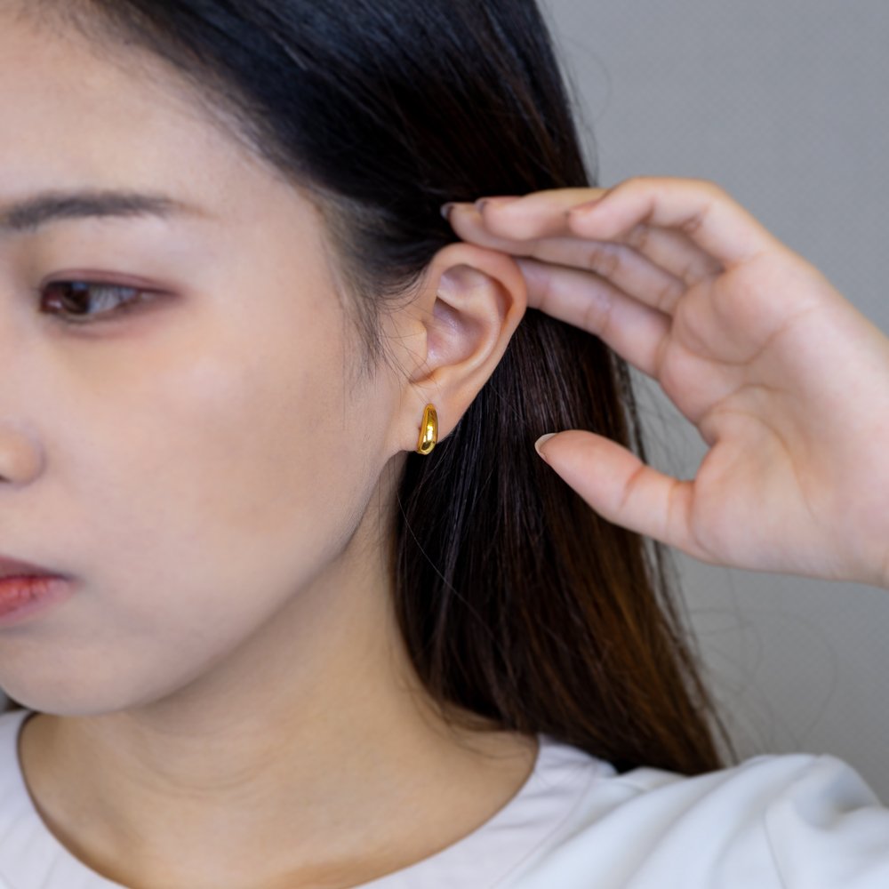 [送料無料] putisia ドロップ イヤリング PUER001